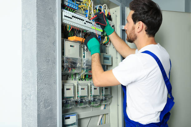 Best Residential Electrician Services  in Mulberry, FL
